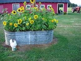 Small Backyard With Flower Design Garden Backyard Garden Plants