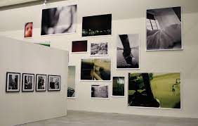 Österreichisches ehrenzeichen für wissenschaft und kunst; Elfie Semotan Wegwerffotos Kunsthalle Krems 2013 Kunst Kunstler Ausstellungen Kunstgeschichte Auf Artinwords
