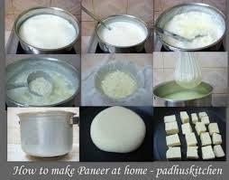 Paneer Recipes Paneer Dishes Paneer Veg Recipes Padhuskitchen How To Make Paneer Paneer Dishes Paneer