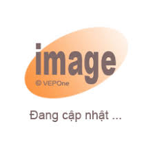 Cho thuê máy trắc địa - máy đo đạc