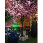 Our home décor category offers a great selection of artificial plants and more. Artificial Plants Hire