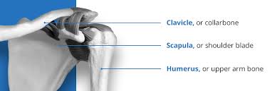 The shoulder blades are two flat. The Ultimate Guide For Shoulder Recovery Surgery Orthobethesda