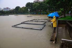 Anybody struggling to get to an appointment will be able to rearrange, a health board says. Rainfall On Saturday Among Highest In Singapore In Past 39 Years Singapore News Top Stories The Straits Times
