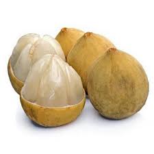 Langsat Lanzones Seeds Lansium Parasiticum 4 95 Langsat Lanzones Seeds Lansium Parasiticum Price For Package Of 1 Seeds L Delicious Fruit Fruit Seeds
