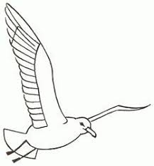 The combo library contains pages of seagull color combinations (a.k.a, color schemes and color palettes) for you to choose from. Seagull Coloring Pages Yahoo Image Search Results Vogel Zeichnen Malen Und Zeichnen Malen Fur Anfanger
