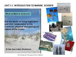 Oceanography Activities Worksheets Teachers Pay Teachers