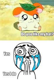 Cuteness Overload Anime Faces Expressions Cuteness Overload Tv Shows Funny