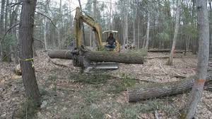 Machines that that are designed to do both with limitations. Clearing Land For A House Youtube
