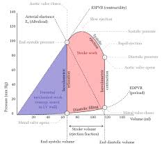 Jun 18, 2019 · the calculation for ejection fraction is: Ventricular Pressure Volume Loops Deranged Physiology