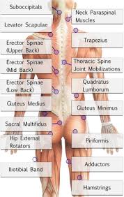 Maybe you would like to learn more about one of these? Back 101 Stretches For Back Pain