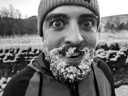 kevin nutter's favorites