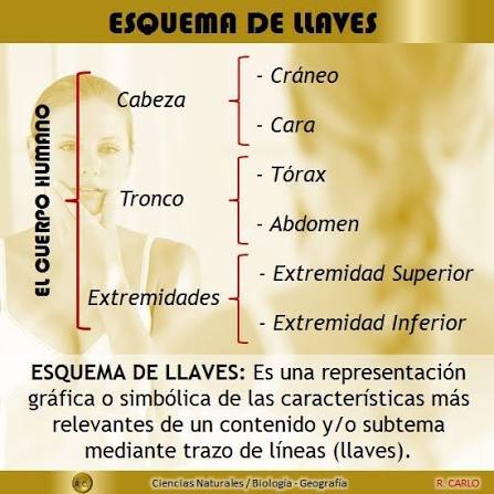 ➡️ ¿Qué es un Esquema de Llaves? ➡️ ¿Qué es un Mapa Conceptual?