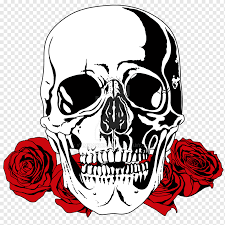 Hand drawn funny human skeleton skull head. Skull And Red Roses Illustration Skull T Shirt Bone Drawing Rose Skull Head Flower Fictional Character Png Pngwing