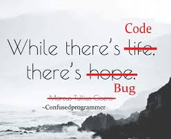 Programmer Quotes Programming Coding Software Developers Webdev Sysadmin Programmers Cs Programmer Humor Programmer Quote Programmer Jokes