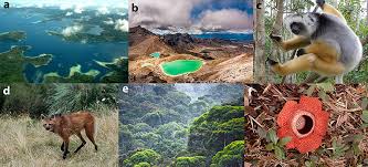 What Are Biodiversity Hotspots Frontiers For Young Minds