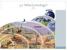 3 1 What Is Ecology 3 2 Energy Flow 3 3 Cycles Of Matter Ch 3 The Biosphere Ppt Download