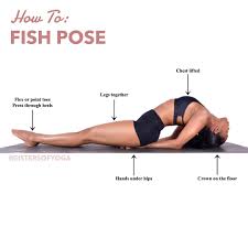 Sisters Of Yoga Collective On Instagram Sistersofyoga Soytribe Benefits Of Fish Pose Relaxes Throat Muscl Fish Pose Yoga Yoga Benefits Yoga Specials