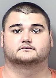 Pounds of pot allegedly thrown from car during chase