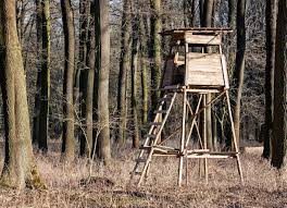 Here's how you can take a brightly painted wooden step ladder and upcycle it into a beautiful vertical planter for your backyard. How To Build Your Own Deer Stand Diy Home Improvement Forum