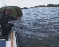 Unlike standard instant game platforms, artie supports the world's most popular game engine, unity. Funny Fishing Gifs 73 Pieces Of Animated Pictures About Fishing
