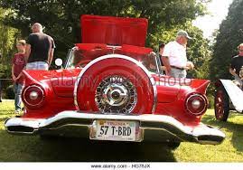 Pin On Tbird