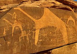 Around a dozen humped sculptures, some of them damaged from erosion and vandalism. 10 000 Years Old And Simply Stunning The Rock Art Of Saudi Arabia About Her