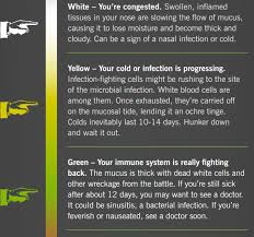 Free Technology For Teachers What Snot Color Says About Your Health An Infographic Yellow Mucus Mucus Color Chart Mucus