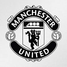 We did not find results for: Amazon Com Brandvinyl Wall Decal Manchester United Logo Vinyl Decal Sticker Made In The Usa Custom Color Home Kitchen
