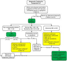 2016 Aha Acc Guideline On The Management Of Patients With Lower Extremity Peripheral Artery Disease Executive Summary A Report Of The American College Of Cardiology American Heart Association Task Force On Clinical Practice Guidelines