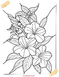 Malvorlage Erwachsene Blumen Coloring And Malvorlagan