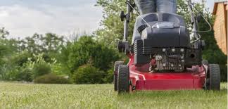 What to look for when choosing a manual lawn aerator. Top 6 Best Petrol Lawn Scarifiers Reviews Buyer Guide Pyracantha Co Uk