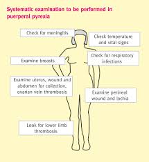 Image result for Postpartum Fever