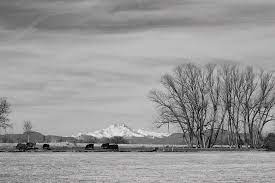 See black and white landscape stock video clips. Just An Old Colorado Western Landscape Photograph By James Bo Insogna