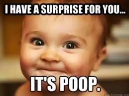 Top 20 Baby Memes On The Internet That Will Make You Lol Parenting