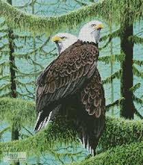 Soaring eagle counted cross stitch kit needle treasures waterfall nature sealed. A Gathering Of Eagles Crop Cross Stitch Pattern By Tereena Clarke Crosstitch Com
