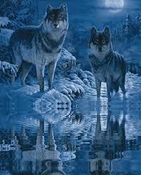 See more ideas about wolf, beautiful wolves, wolf pictures. Blue Of The Day Magical Wolf Wolf Pictures Beautiful Wolves