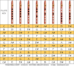 6 Holes Diatonic Or Major Scale This Is The Well Known