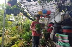Berbagai pengetahuan terkait tanaman hias bunga untuk taman dan taman lain nya juga. Omzet Tanaman Hias Di Jalan Raya Juanda Mulai Meningkat