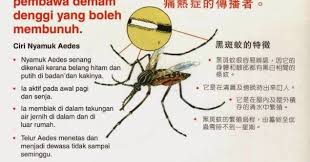 Ikan pemakan jentik nyamuk sangat berguna untuk menghilangkan nyamuk di kolam ikan anda. Ubat Jentik Jentik Rawatan C