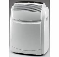 Have a spare for clean air! Delonghi Pac700t Pinguino Portable Air Conditioner