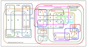 English Phonological Features As Sets Phonology Linguistics Simply Learning