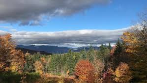 Catching Up With the HOC