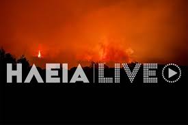 Check spelling or type a new query. Dkjosib4tbgvcm