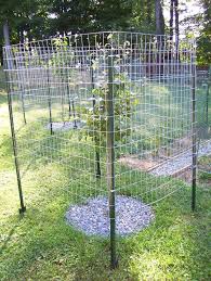 Deer Fence Designs For Trees Fruit Orchards Forum Gardenweb Fruit Trees Garden Design Fruit Tree Garden Deer Garden