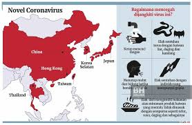 Disebutkan bahwa wanita malaysia itu baru saja kembali dari kunjungan ke jakarta dan bogor selama beberapa hari. Coronavirus Tiada Keperluan Hantar Pulang Rakyat China Di Malaysia