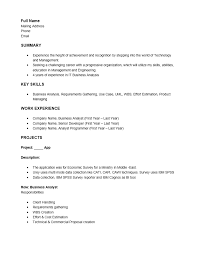 it business analyst resume template