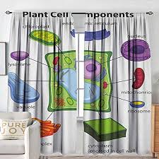 Blackout Thermal Insulated Window Curtain Valance Educational Chart Showing Plant Cell Components In Cartoon Style Science Living Structure