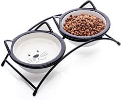 Your cat's whiskers help her sense the width of holes, doorways, and other openings, so she can tell whether she can squeeze through. Best Cat Food Bowls For Whisker Fatigue 2021 Cat Mania