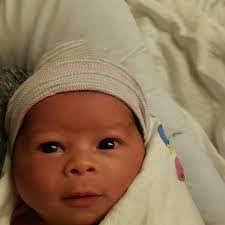 Denise Traister's Instagram, Twitter & Facebook