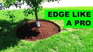 Just let it settle in. How To Edge And Mulch Around A Tree Youtube
